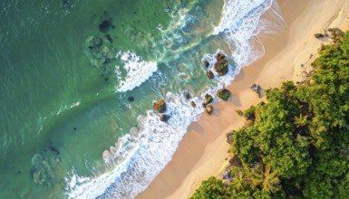 Green algae on the sandy shore of an ocean. Fascinating phenomenon of wild coastline with green