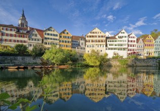 Historic houses on the Neckar front, the Neckar river, water reflection, old town of Tübingen,