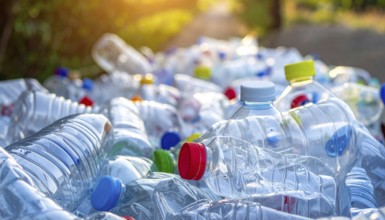 Crushed plastic water bottle waste in a wild landscape, symbol for nature protection, waste