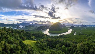 Banner background of tropical forest landscape scene, green wild jungle, cloudy sky at morning,
