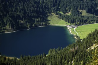 View of Vilsalpsee, Allgäu Alps, Tannheim, Tannheimer Tal, Tyrol, Austria