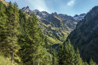 View of the Bacherloch Valley, in the back mountains of the Allgäu Alps with Trettachspitze,