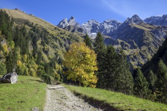Hiking trail in Bacherloch Valley, back mountains of the Allgäu Alps with Trettachspitze,