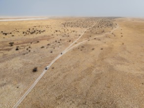 Top-down view, aerial view, car on lonely road in dry countryside, Botswana