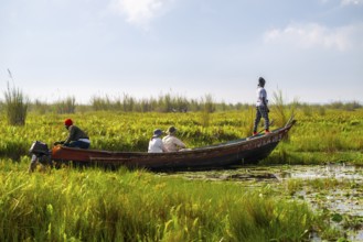 Boat with tourists in Mabamba Swamp, Tourists, Mabamba Swamp, Lake Victoria, Uganda