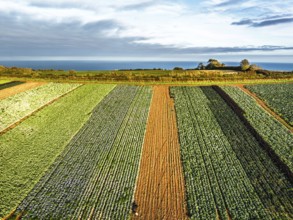 Fields and Farms at evening sun from a drone, Shaldon, Torquay, Devon, England, United Kingdom