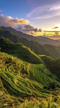 Early morning light bathes Philippines rice terraces cascading down mountain slopes, beautiful