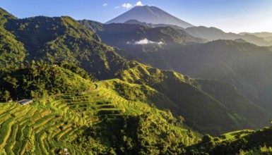 Early morning light bathes Philippines rice terraces cascading down mountain slopes, beautiful