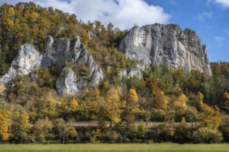 Distinctive Jurassic limestone cliffs in the upper Danube Valley, surrounded by autumn vegetation,