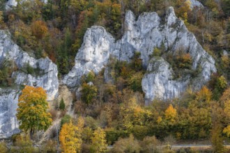 Distinctive Jurassic limestone cliffs in the upper Danube Valley, surrounded by autumn vegetation,
