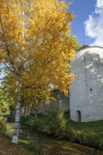 Storage tower with autumn-colored tree, Isny, Allgäu, Baden-Württemberg, Germany