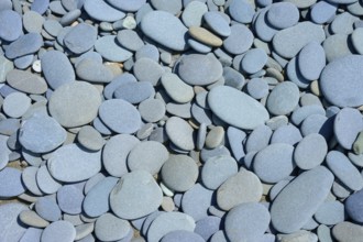 Close-up of smooth grey stones on the beach, Tuhawaiki Point Lighthouse or Jack's Point Lighthouse,