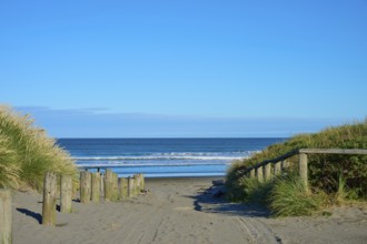 View of quiet beach path with ocean views under clear skies, Spencer Park Beach, Spencerville,