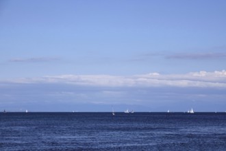 Lake Constance with sailboats, Baden-Württemberg, summer, Germany
