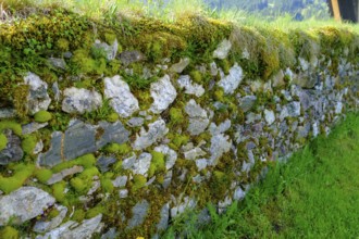 Moss-covered wall, cemetery wall, parish church of St. Johannes der Täufer, Weissbriach, Gitschtal,