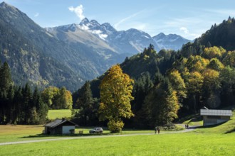 Weiden und Bauernhäuser, near Schwand, Stillachtal, Oberstdorf, Oberallgäu, Allgäu, Bavaria,