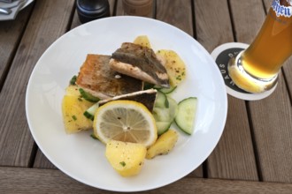 Fish fillet served with potatoes in a garden restaurant, Franconia, Bavaria, Germany
