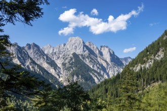 The southern falls of the Reither Alm above the Bindalm in the Klausbach Valley, Berchtesgaden