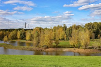 Wesel, Lower Rhine, North Rhine-Westphalia, Germany - autumn on the Lippe, trees with colorful
