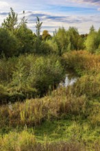 Bottrop, North Rhine-Westphalia, Germany - Autumn on the restored Boye, the tributary of the