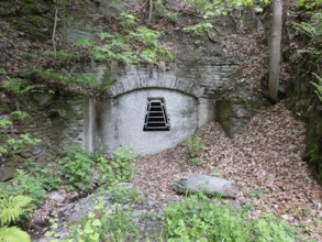 Bat Quarters entrance, wintering, former slate mining tunnel, Thuringia, Germany