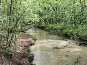 Furlbach, stream, river, near source area, drinking water quality, North Rhine-Westphalia, Germany
