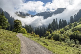 Hiking trail in the Dietersbachtal from Gerstruben to Alpe Dietersbach, Nebelschwanden hang in the