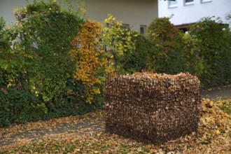 Public collection container, leaf basket, steel mesh compost basket, for collecting autumn leaves,
