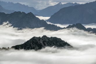 View from the Nebelhorn summit to mountains of the Allgäu Alps, mountains rising from fog in the