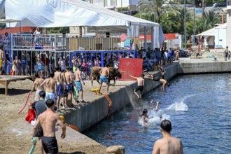 Bous a la Mar Fair, in English Bulls in the Sea, Bullfighting, Javea or Xàbia, Alicante Province,