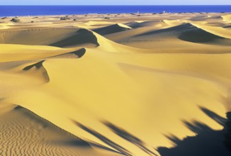 Sand dunes, Maspalomas, Playa del Ingles, Gran Canaria, Canary Islands, Spain
