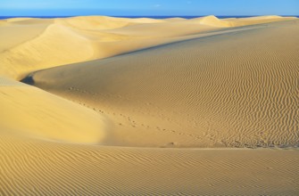 Sand dunes, Maspalomas, Playa del Ingles, Gran Canaria, Canary Islands, Spain