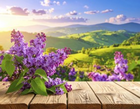Beautiful Spring Lilacs Bloom Over Wooden Table with Rolling Hills in Background, sunrise at