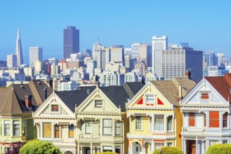 The Painted Ladies, Alamo Square, San Francisco, California, USA
