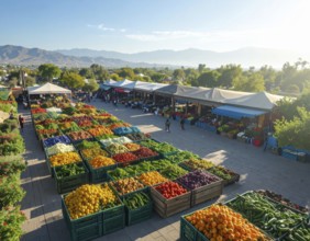 Traditional Mexican plaza with crates of peppers, onions, and tomatoes, economic prosperity in