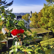 Konrad Adenauer House, view from the garden of St. Mary's Church, Stiftung