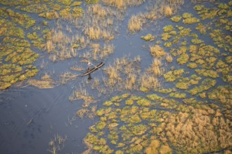 Marshland, marshland, Kavango fishermen with their mokoro on the water, aerial view, Okavango