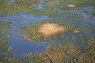 Freshwater marshland, marshland, aerial view, Okavango Delta, Botswana