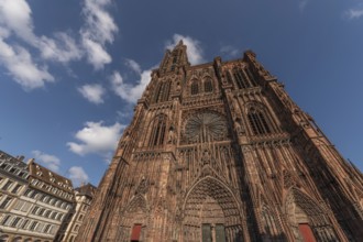 Strasbourg's Notre Dame Cathedral stands majestically there. Its magnificent architectural details