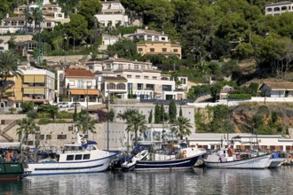 View of the port of Jávea or Xàbia, Alicante Province, Comunidad Valenciana, Spain
