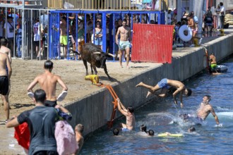 Bous a la Mar Fair, in English Bulls in the Sea, Bullfighting, Javea or Xàbia, Alicante Province,
