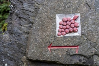 Guide to the red wine hiking trail in the Ahr Valley, logo, here near Altenahr,