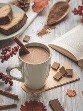 Cup of hot chocolate with cinnamon stick and autumn decorations next to a book