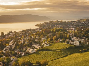 A view of an urban landscape with a lake surrounded by autumn tones, Überlingen, Lake Constance,