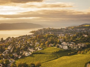 Urban and rural area in autumn colors with hills and a lake, Überlingen, Lake Constance, Germany
