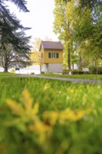 Small yellow house in a meadow surrounded by trees in autumn colors, Überlingen, Lake Constance,