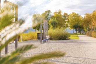 Playground scene with a rocking person and sun-drenched trees, Überlingen, Lake Constance, Germany