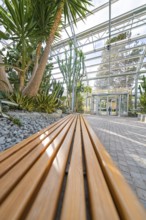 Modern greenhouse with wooden benches filled with tropical plants, Überlingen, Lake Constance,