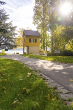 Path leads past a wooden house surrounded by tall trees in sunlight, Überlingen, Lake Constance,