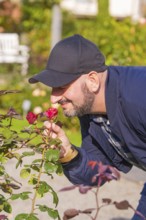 Man with cap smells of rose petals in a sunny garden, Überlingen, Lake Constance, Germany